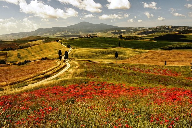 Livorno Port ShorExcursion: Montalcino Pienza Tuscany Wine&Cheese - Frequently Asked Questions