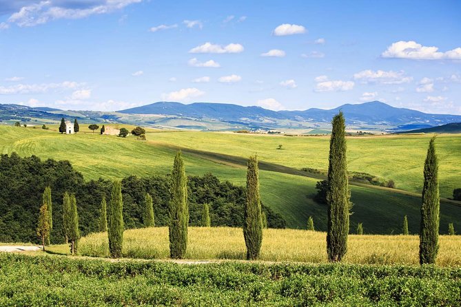 Livorno Shore Excursion: Bolgheri and Supertuscan Private Tour - Quick Points
