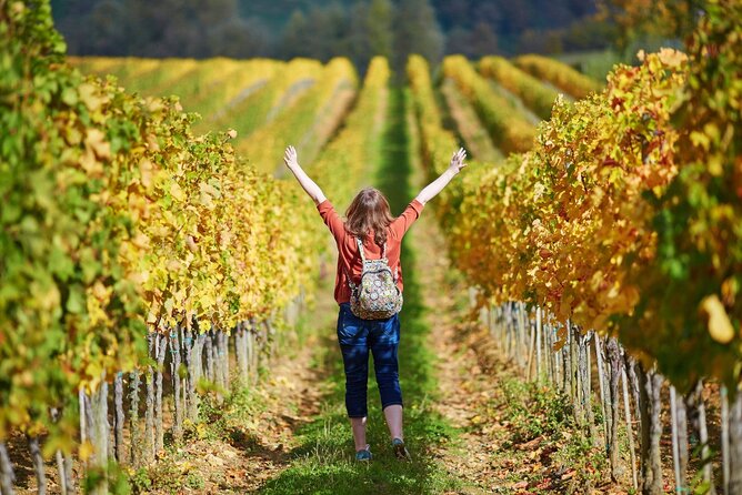 Livorno Shore Excursion: Pisa, Florence and Chianti Wine Private Day Trip - Personalizing the Itinerary