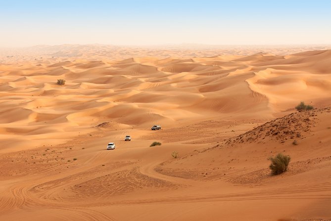 Liwa Full Day Desert Safari From Abu Dhabi - Inclusions and Exclusions