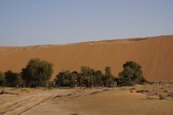 Liwa Full Day Desert Safari From Abu Dhabi - Dining at Liwa Oasis