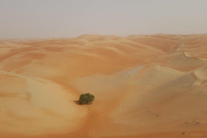Liwa Oasis Desert Drive From Abu Dhabi - Pickup Locations and Times