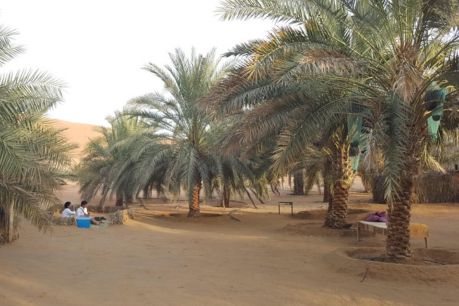 Liwa Oasis Desert Drive From Abu Dhabi - Spotting Native Wildlife