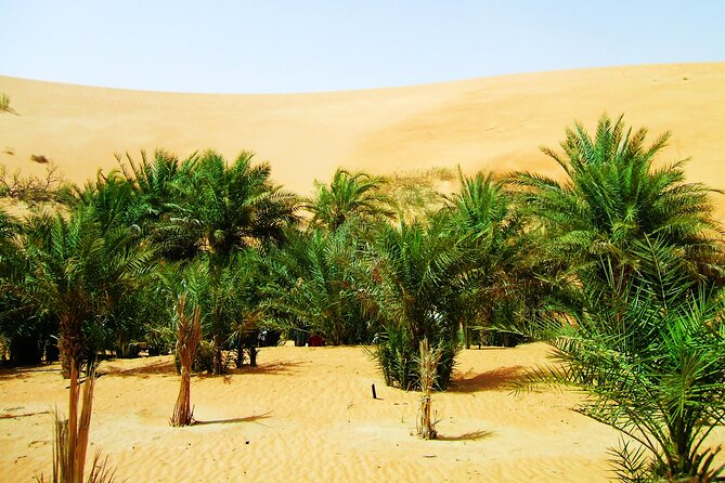 Liwa Over Night Safari - Customer Reviews and Ratings