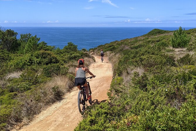 Lizandro Trails - Mountain Biking - Pickup Information