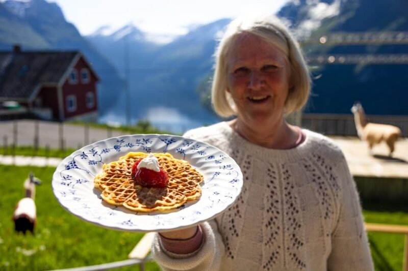 Ljøen, Hellesylt: Ljøen Farm Tour - Animal Encounters