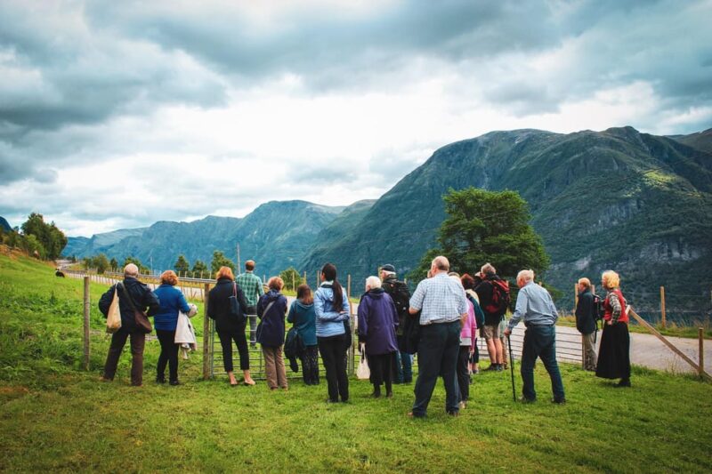 Ljøen, Hellesylt: Ljøen Farm Tour - Feeding Llamas