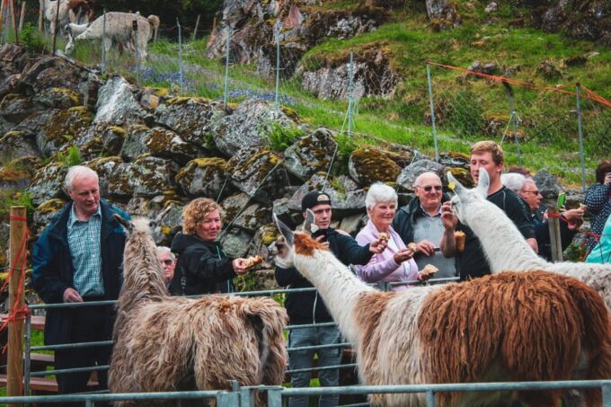 Ljøen, Hellesylt: Ljøen Farm Tour - Frequently Asked Questions