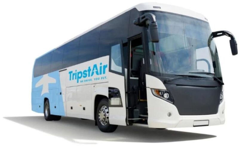 Ljubljana: Bus Transfer From/To Venice Marco Polo Airport - Vehicle and Amenities