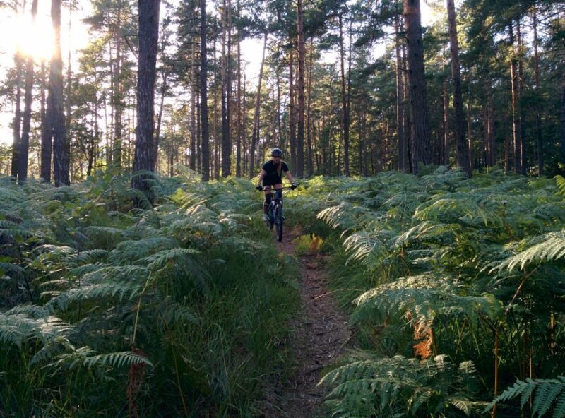 Ljubljana: City Center and Golovec Trails Mountain Bike Tour - Activity Breakdown