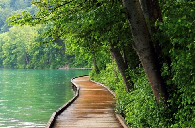 Ljubljana: Lake Bled, Postojna Cave, and Predjama Day Tour - Customer Feedback and Ratings
