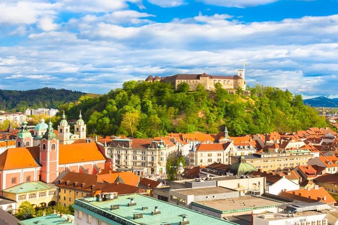Ljubljana & Postojna Cave | Private off Cruise Excursion From Koper - Inclusions and Exclusions