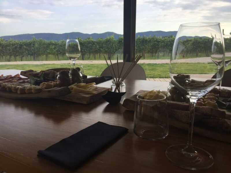 Ljubljana: Private Family-Owned Vineyard Wine Tasting Trip - Scenic Countryside Drive