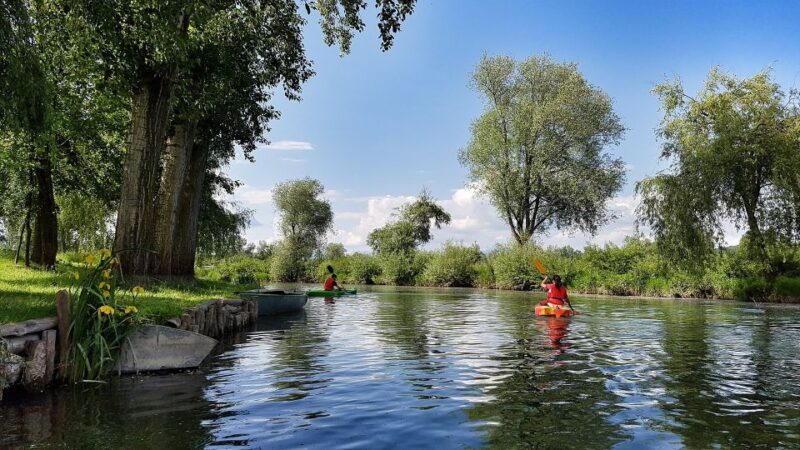 Ljubljana: Private Tour With a Local - Experience Highlights