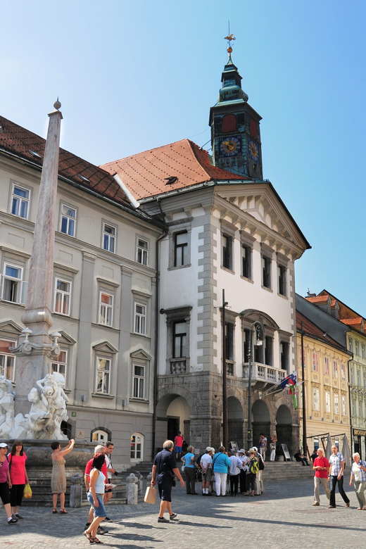 Ljubljana: Private Walking Tour of Old Town - Customer Experience