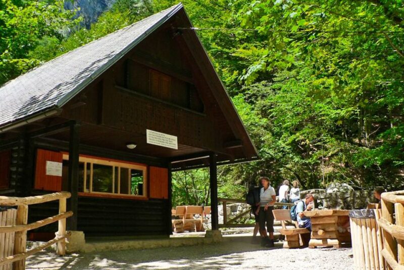 Ljubljana: Savica Waterfall, Lake Bohinj, and Lake Bled Tour - Lake Bohinj
