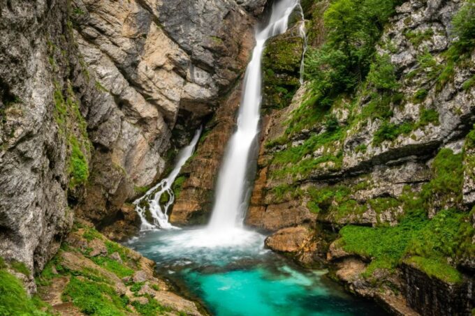 Ljubljana: Savica Waterfall, Lake Bohinj, and Lake Bled Tour - Customer Feedback