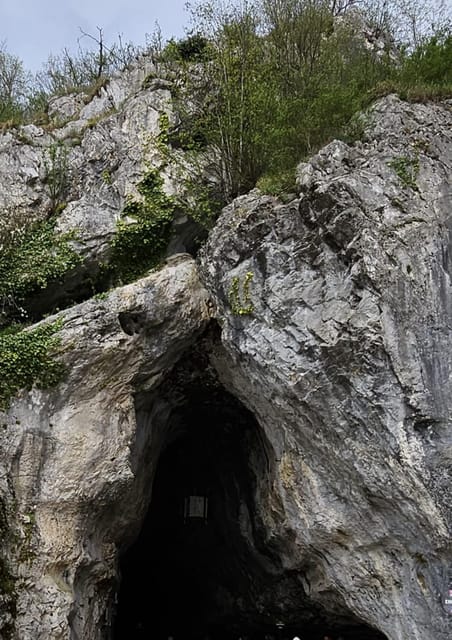 Ljubljana to Postojna Cave, Predjama Castle and Postojna Park - Language Options