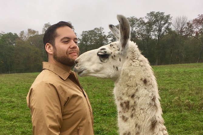 Llama/Alpaca Hike and Farm Tour - Farm History