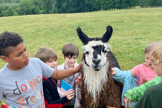 Llama/Alpaca Hike and Farm Tour - Fiber Farm