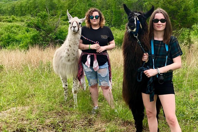 Llama/Alpaca Hike and Farm Tour - Visiting Essentials