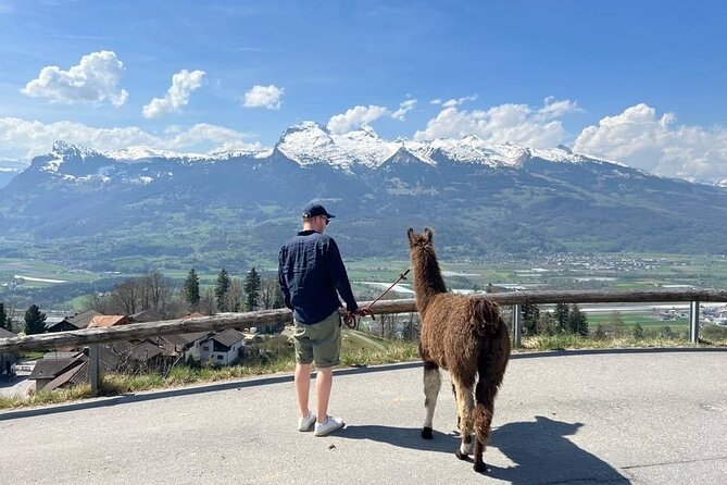 Llama Hike With Homemade, Traditional Cheese Fondue - About Your Stay