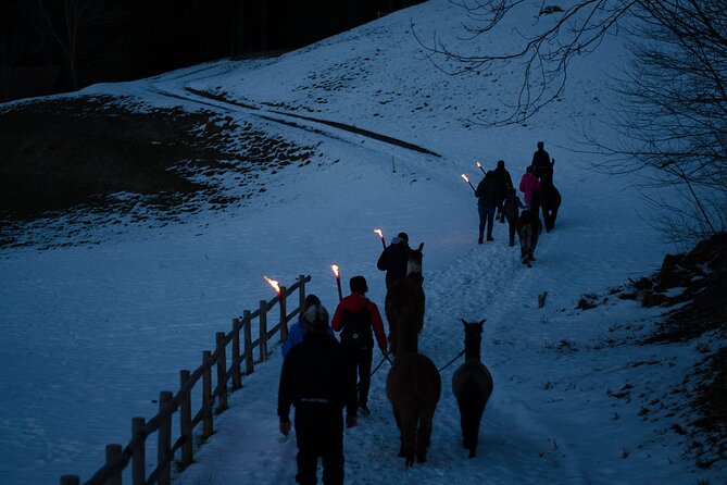 Llama Hike With Homemade, Traditional Cheese Fondue - Accessibility and Suitability