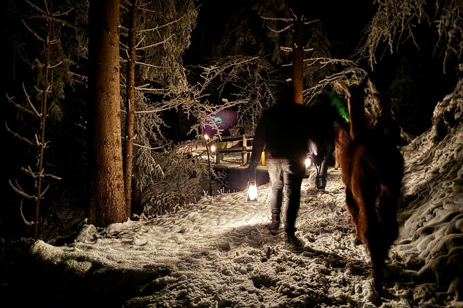 Llama Hike With Homemade, Traditional Cheese Fondue - Review Highlights
