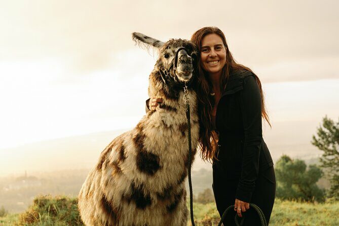 Llama Sunset Hike - Key Points