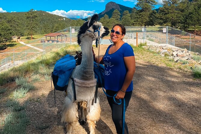 Llama to Lunch in the Rocky Mountains - Delicious Lunch Amidst Nature