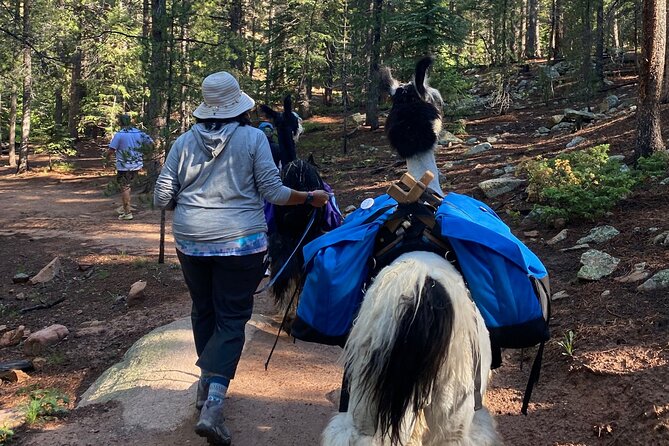 Llama to Lunch in the Rocky Mountains - Booking Your Llama to Lunch Experience