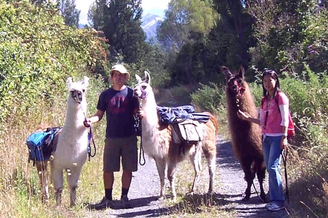 Llama Trek (Taster) - Kowhai River Valley and Native Woodland Tour - Meeting and Accessibility