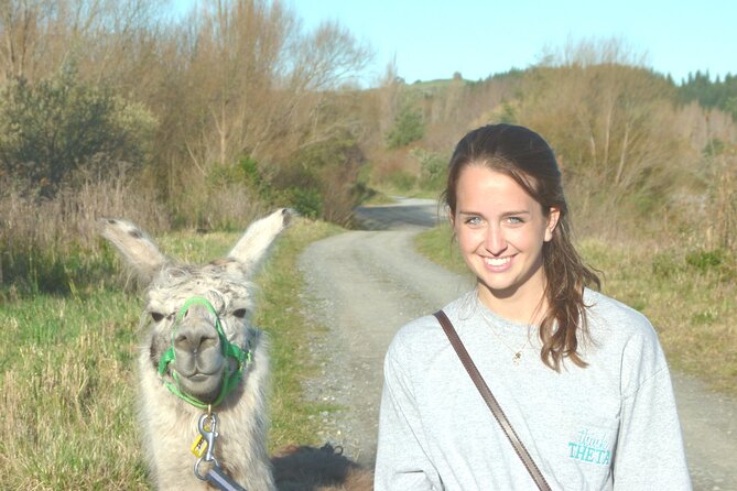 Llama Trek (Taster) - Kowhai River Valley and Native Woodland Tour - Llama Interaction