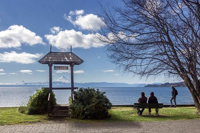 Llanquihue Lake Trip - Transportation and Logistics