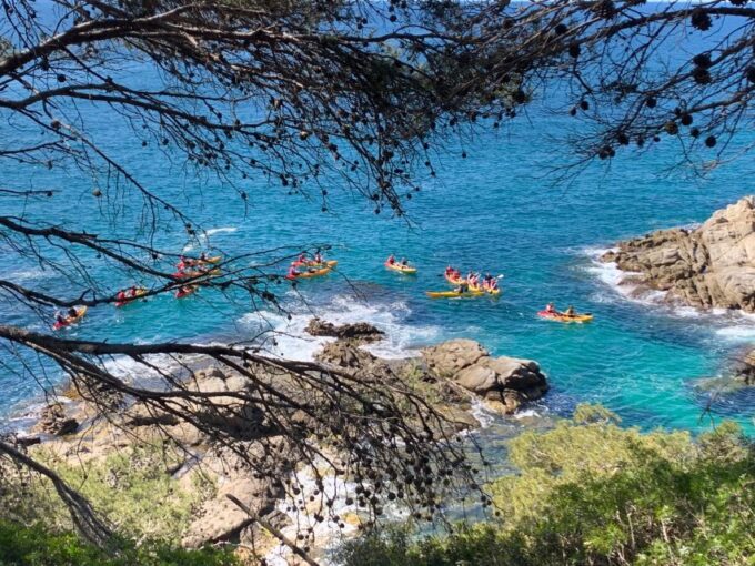 Lloret De Mar: 3-Hour Kayak and Snorkel Tour on Costa Brava - Discovering the Marine Life of Fenals Beach