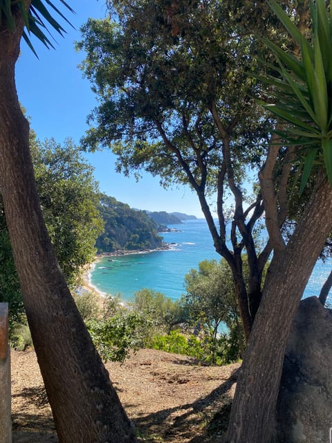 Lloret De Mar: Guided Sightseeing Tour in a 4x4 Vehicle - Key Points
