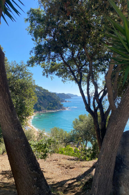 Lloret De Mar: Guided Sightseeing Tour in a 4x4 Vehicle - Booking and Practical Details