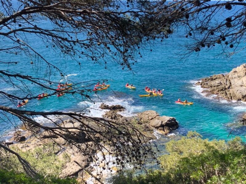 Lloret De Mar: Kayak and Snorkel Excursion in Costa Brava - Activity Highlights and Safety