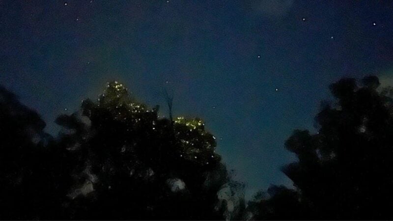 Loboc Firefly Watching Shared Tour: Witness Bohol at Night - Key Points