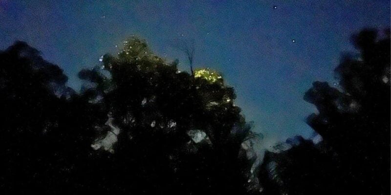 Loboc Firefly Watching Shared Tour: Witness Bohol at Night - Itinerary