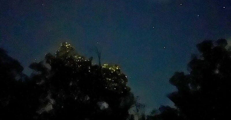 Loboc Firefly Watching Shared Tour: Witness Bohol at Night - Getting There