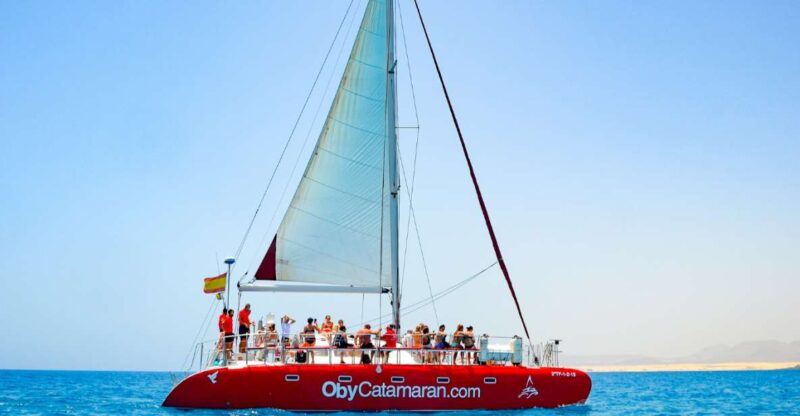 Lobos Island: 4-Hour Catamaran Trip With Lunch - Cruise Inclusions