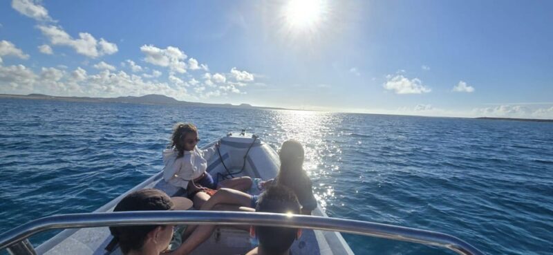 Lobos Island: Guided Turtle Searching Tour and Snorkeling - Group Size and Languages