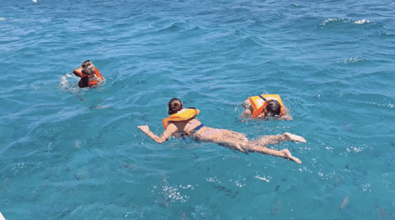 Lobos Island: Guided Turtle Searching Tour and Snorkeling - Frequently Asked Questions
