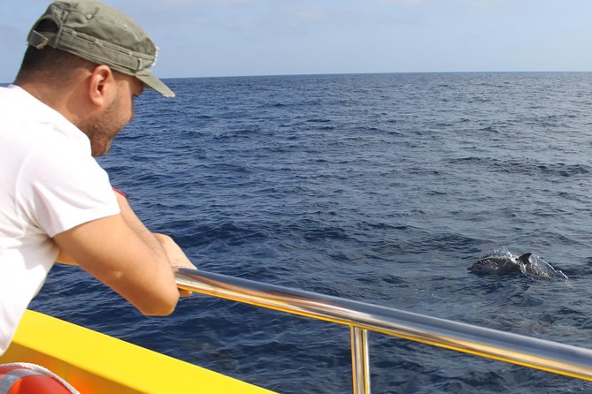 Lobos Island - the Dolphin Route - Onboard Experience and Amenities