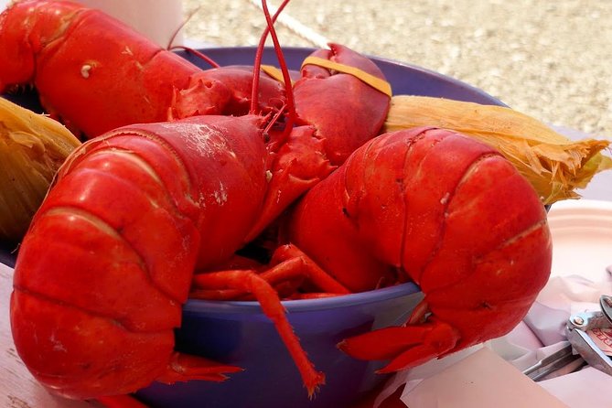 Lobster and Beer Sail in New York City - Drinks: Unlimited Craft Beers