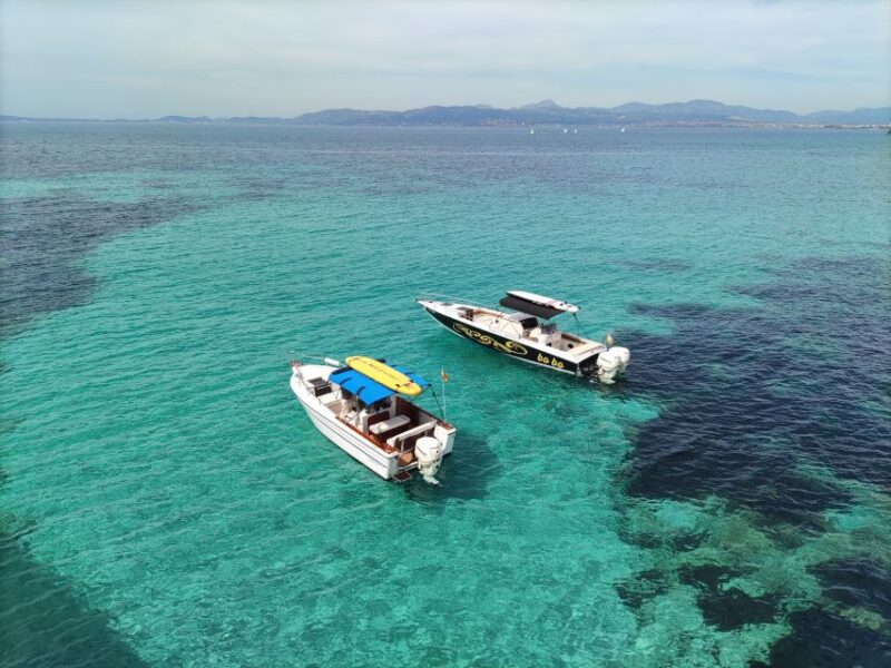 Local Boat Experience Bobo Boat - Boat Experience Overview