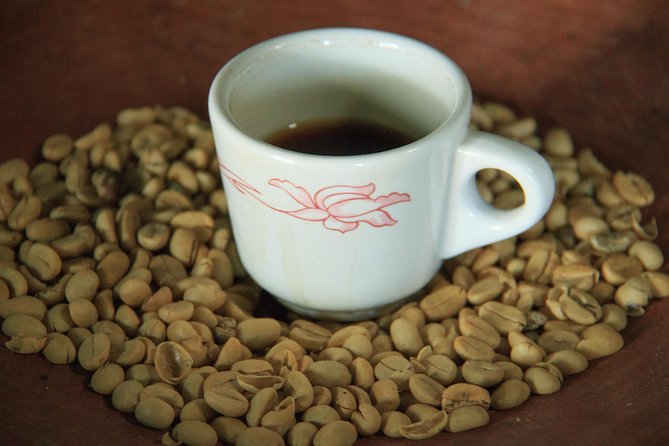 Local Coffee Tasting and Cultural Experience - Explore Pluma Hidalgo and Santa Maria
