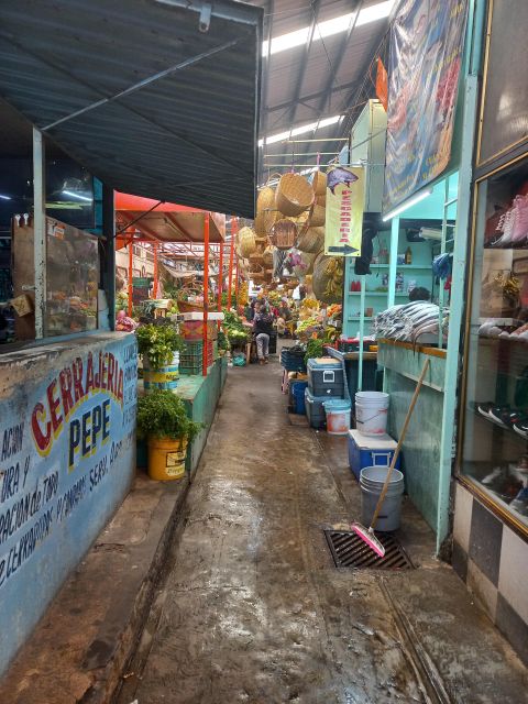Local Culinary Journey: Market Workshop and Tacos With a Local - Sensory Adventure