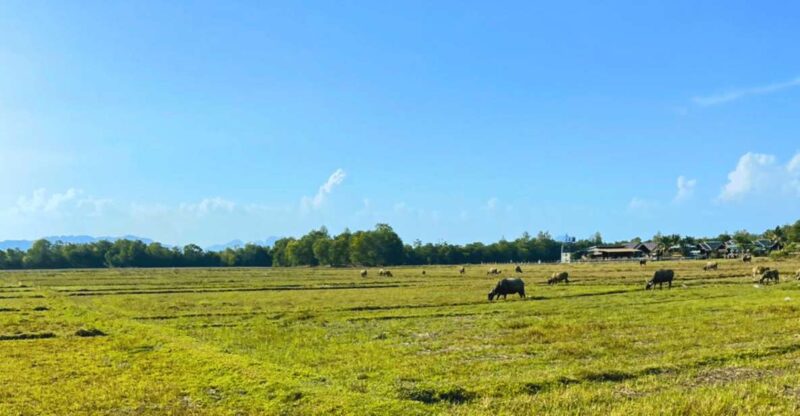 Local Culture Community at Koh Yao Yai - Itinerary Highlights